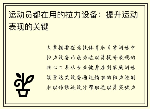 运动员都在用的拉力设备：提升运动表现的关键