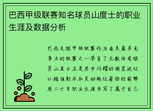 巴西甲级联赛知名球员山度士的职业生涯及数据分析